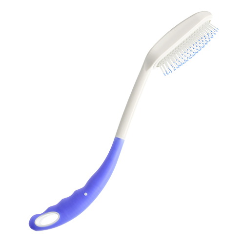 Long Handled Brush