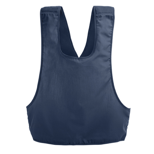 Wheelchair Safety Belt